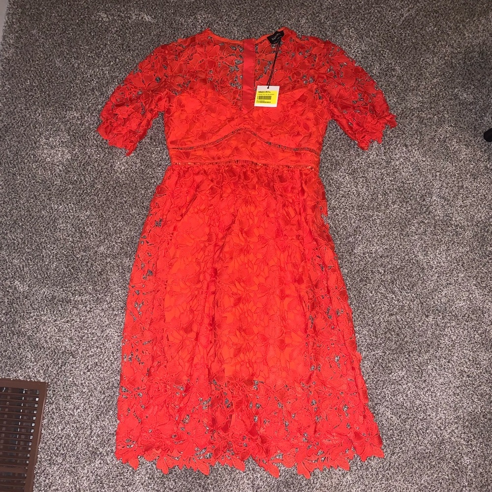 Bardot fit and flare lace dress